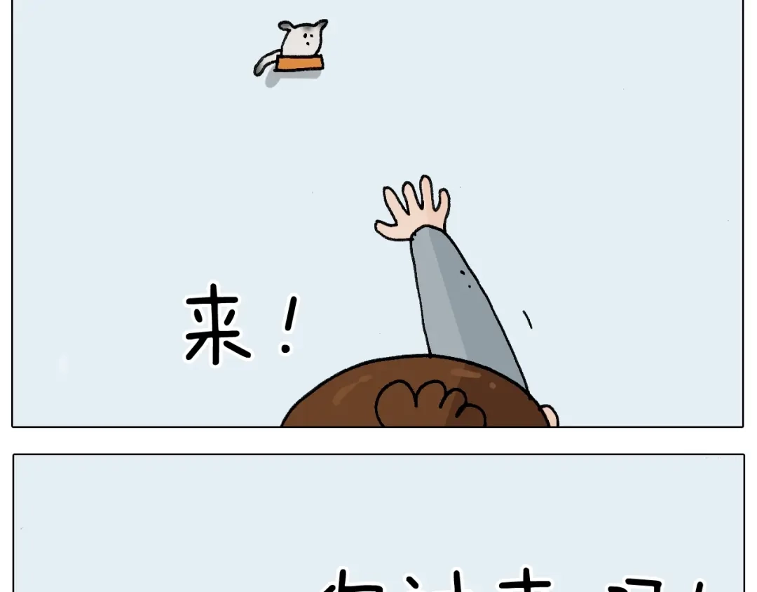 叫我森先生 第253话 动物之友 第46页
