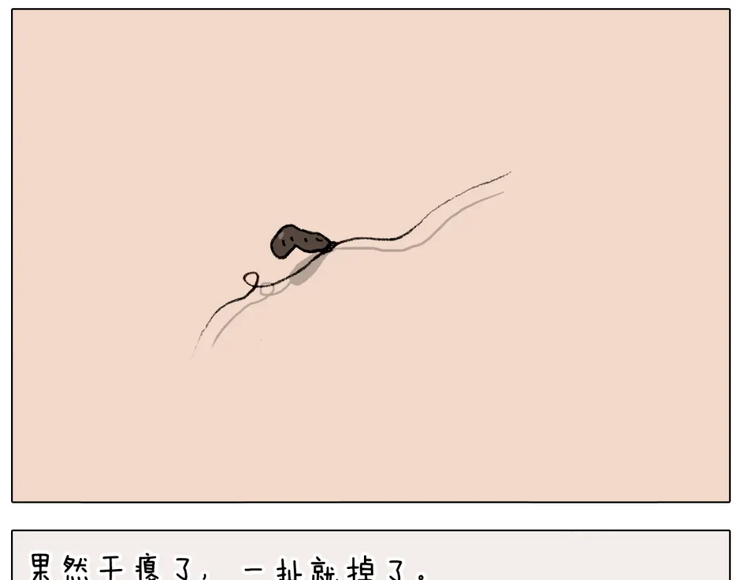 叫我森先生 第287话 表面老化 第26页