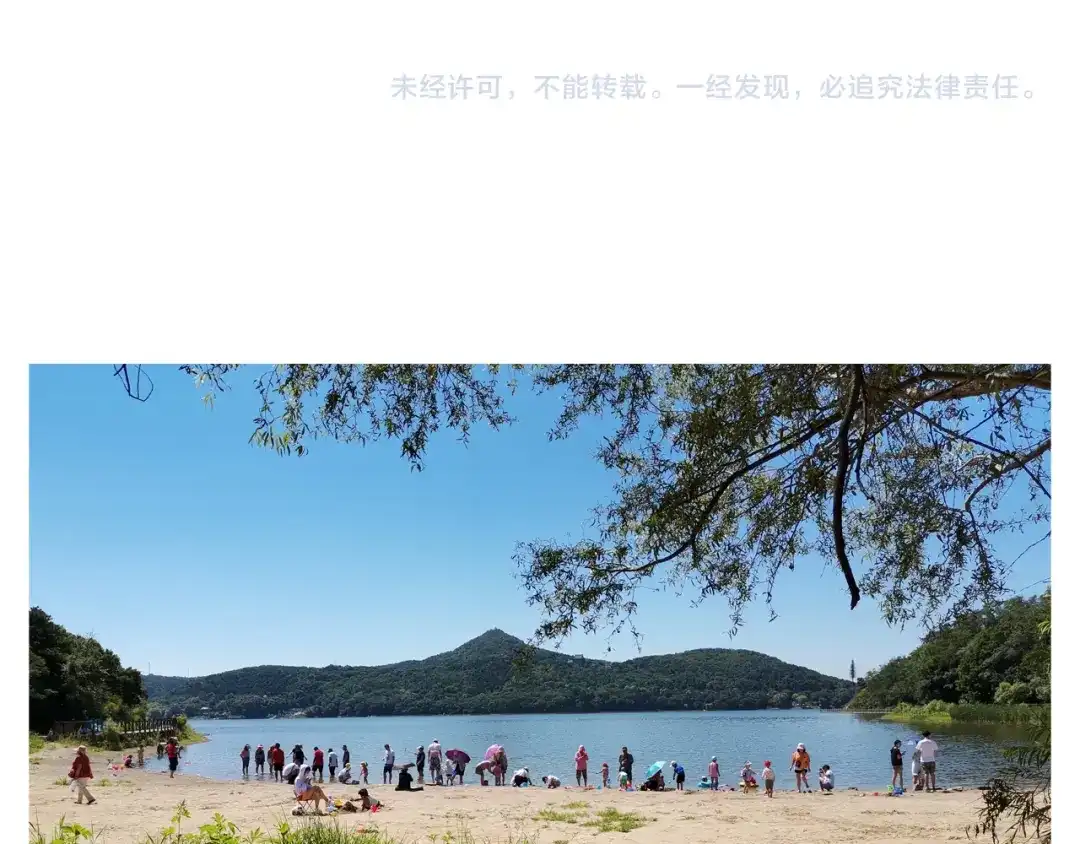 叫我森先生 第299话 带你去看沙子雕塑 第53页