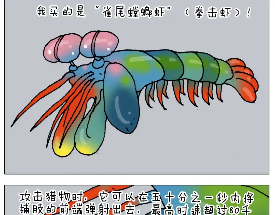 叫我森先生 第302话 超级海鲜 第26页