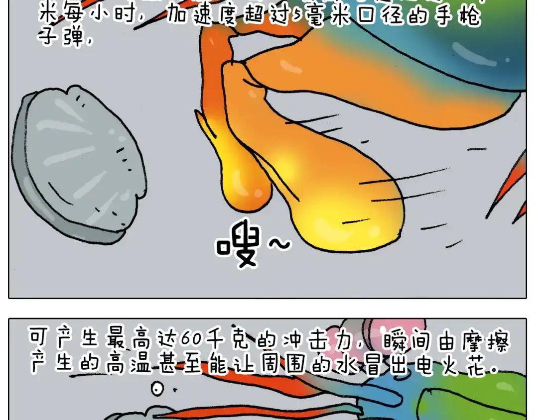 叫我森先生 第302话 超级海鲜 第27页