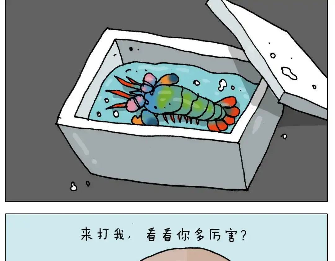 叫我森先生 第302话 超级海鲜 第33页