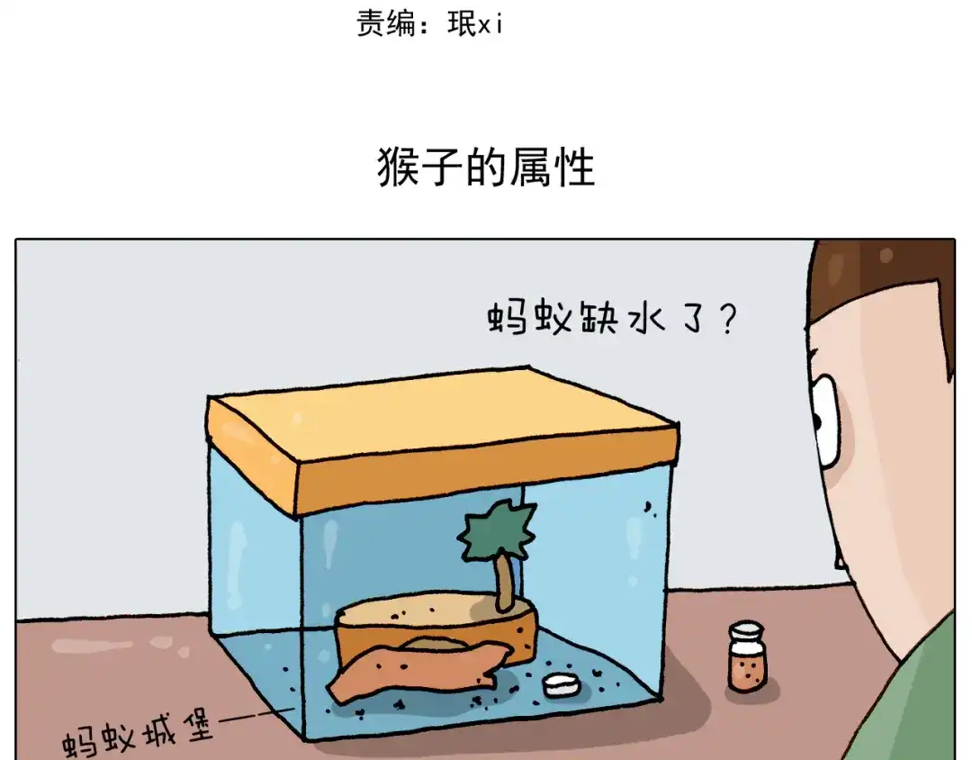 叫我森先生 第308话 猴子的属性 第2页