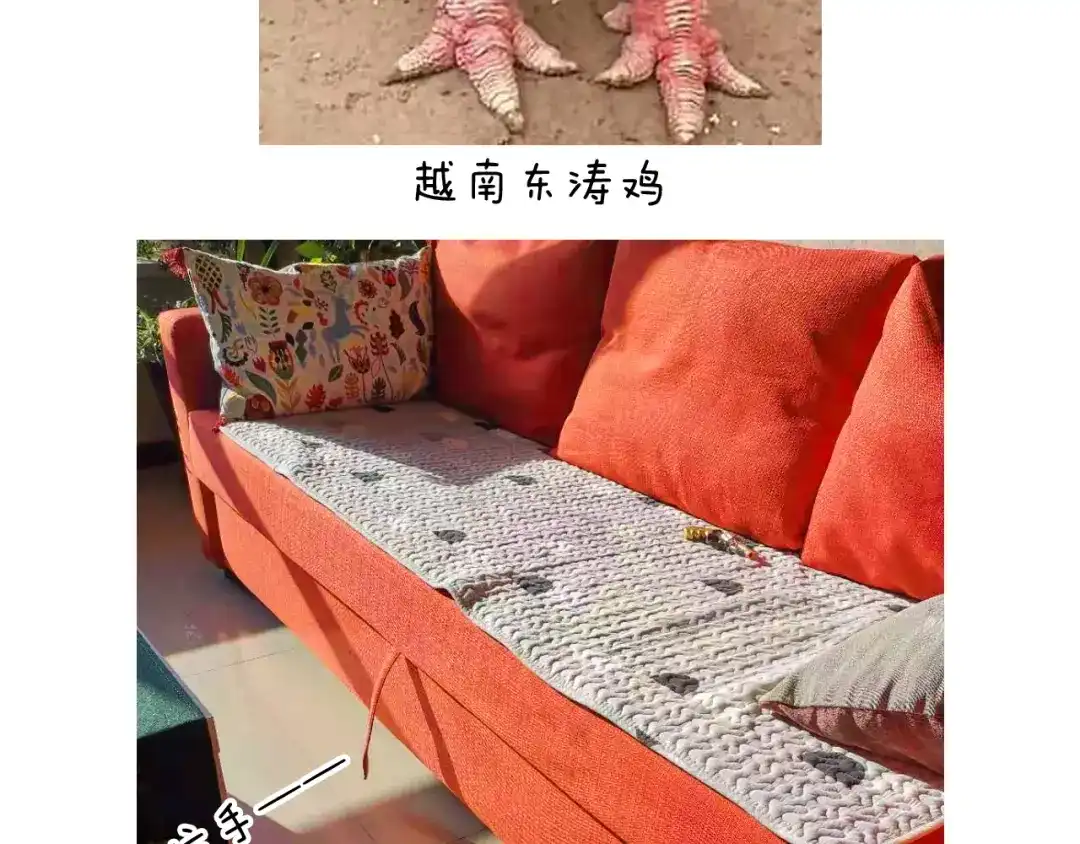叫我森先生 第319话 沙发里翻了船 第61页
