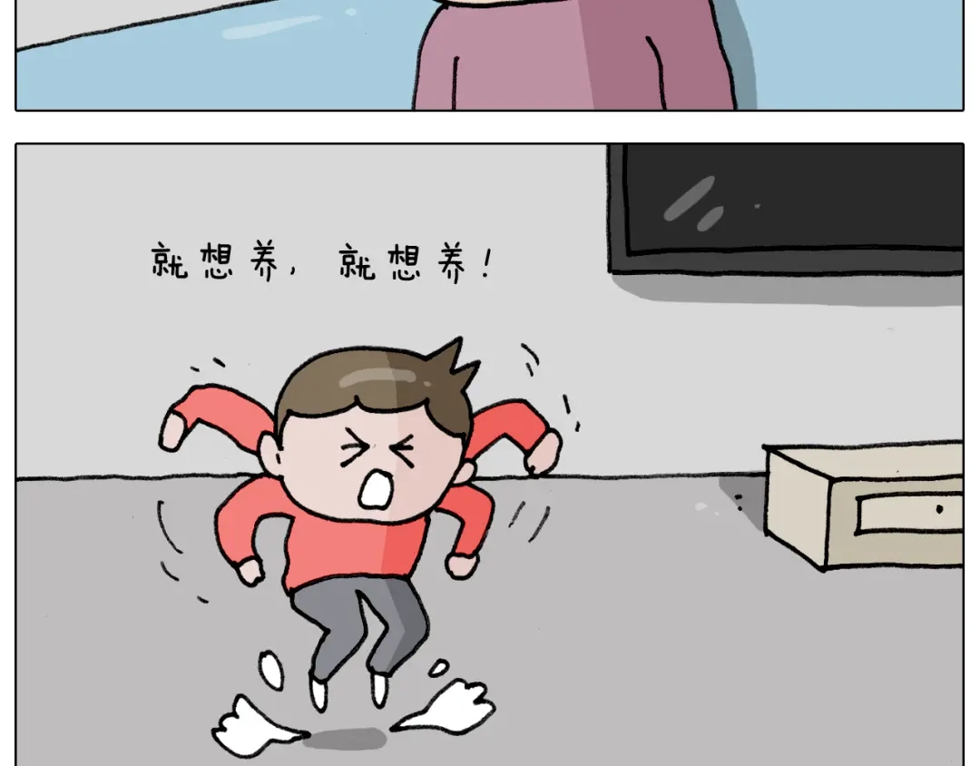 叫我森先生 第340话 养条狗都不容易 第11页