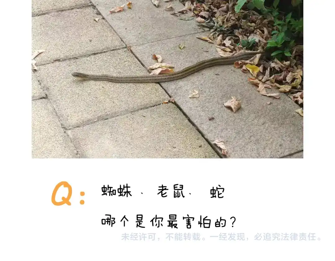 叫我森先生 第351话 血脉压制 第51页