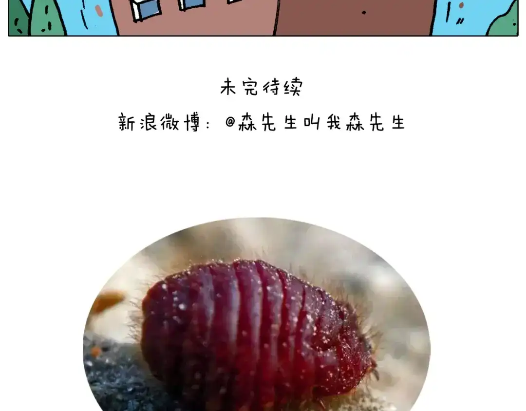 叫我森先生 第352话 你还不知道吧 第48页