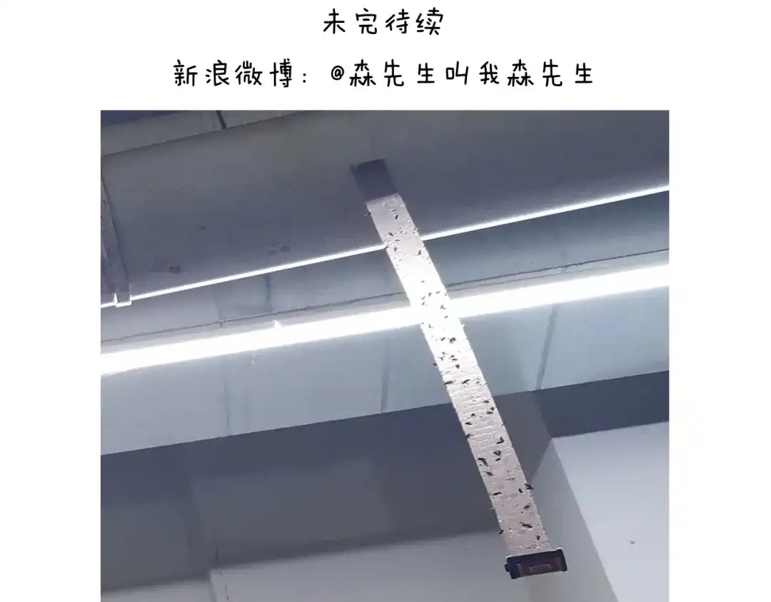 叫我森先生 第353话 厚米灵魂行为艺术家 第54页