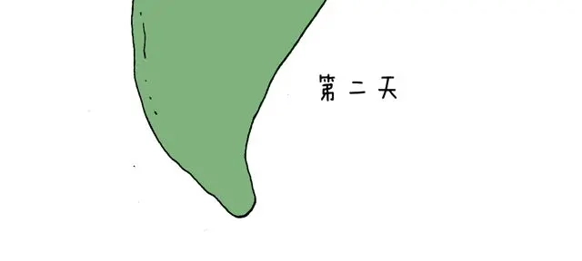 叫我森先生 这就是台湾~ 第30页