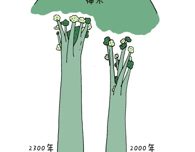 叫我森先生 这就是台湾~ 第54页