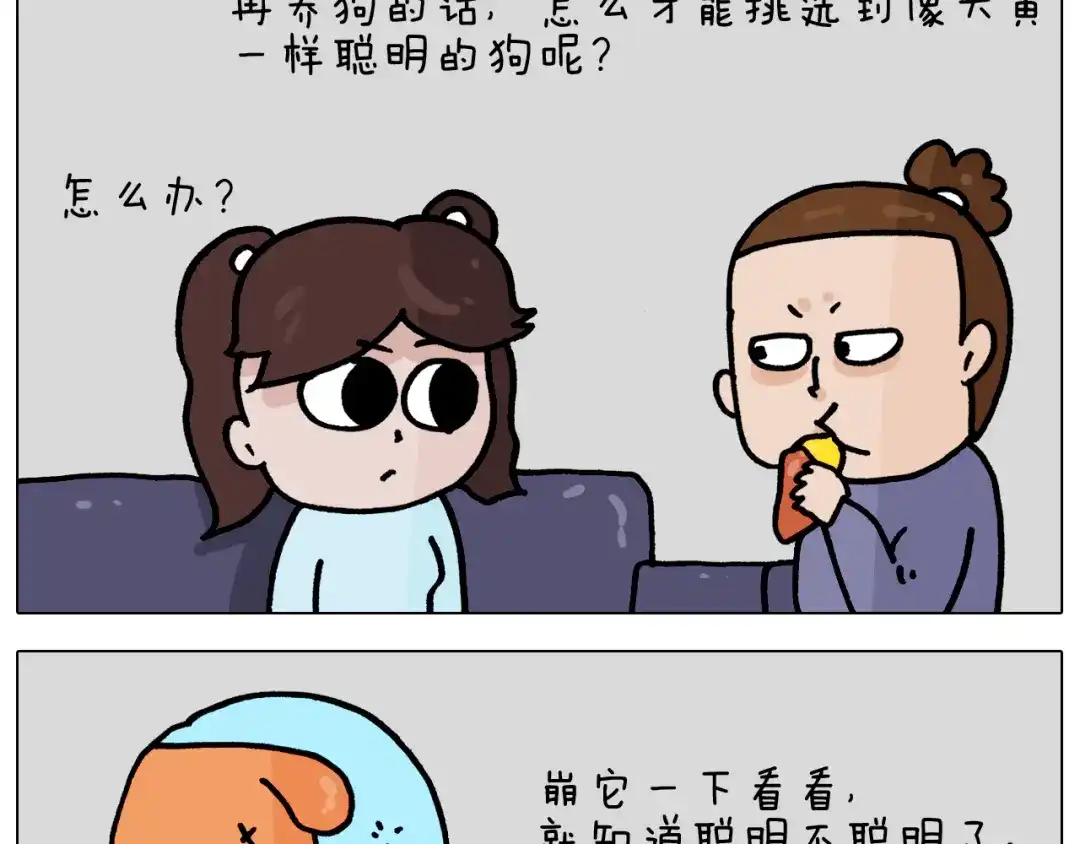 叫我森先生 第364话 聪明狗 第42页