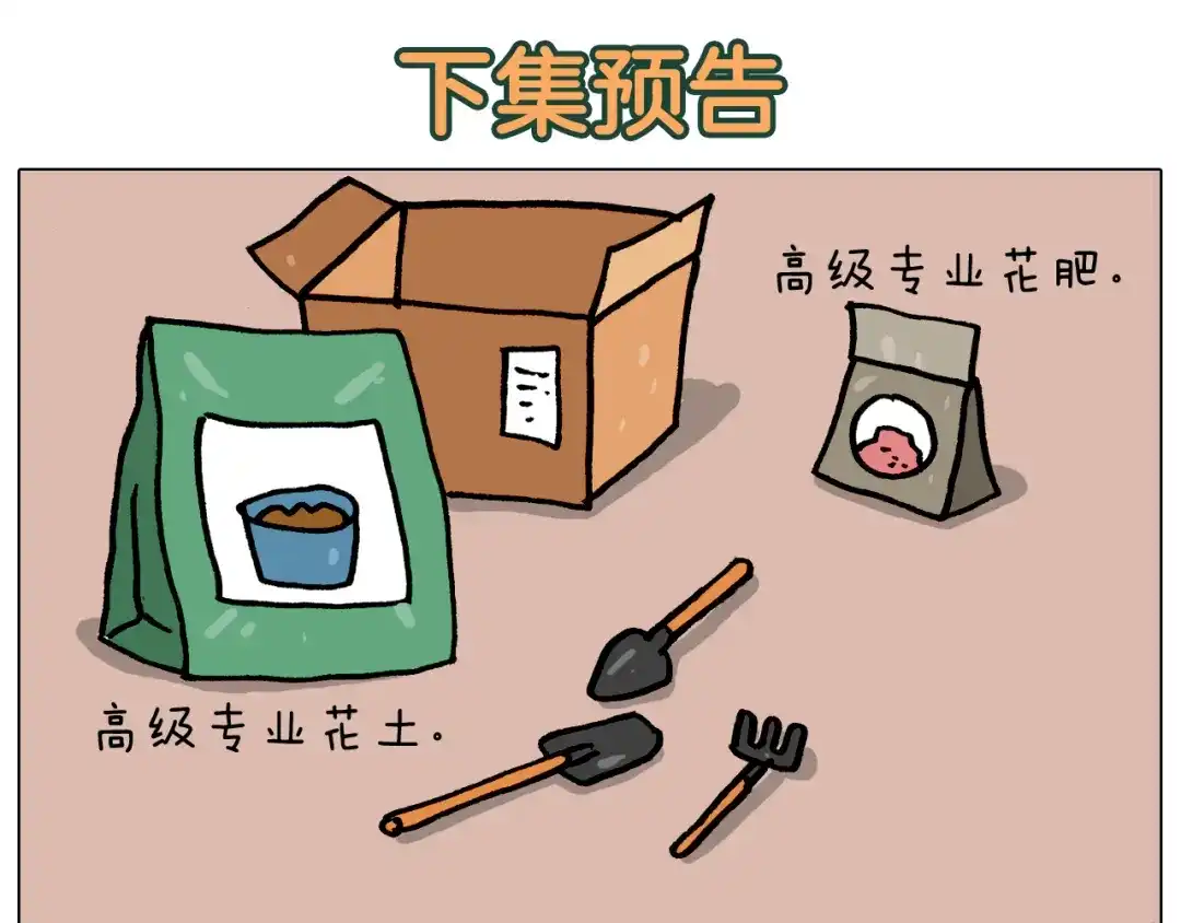 叫我森先生 第365话 能活这么大是个奇迹 第54页