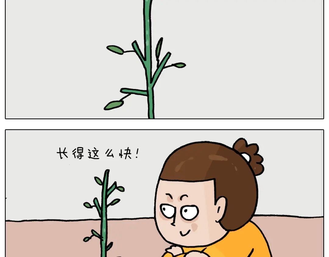 叫我森先生 第366话 一语成谶 第24页