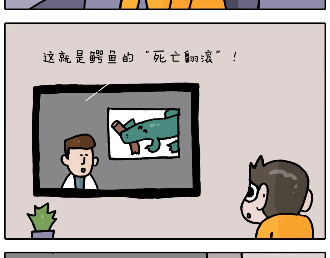 叫我森先生 第373话 鳄鱼的死亡翻滚 第9页