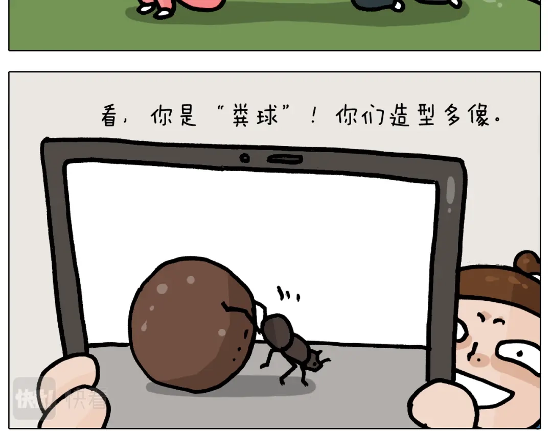 叫我森先生 第384话 奇怪的球 第38页