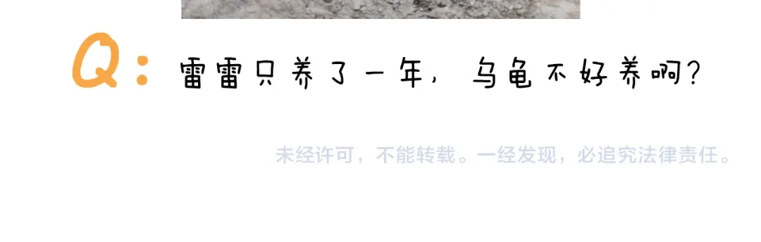 叫我森先生 第395话 眼泪的妙用 第47页