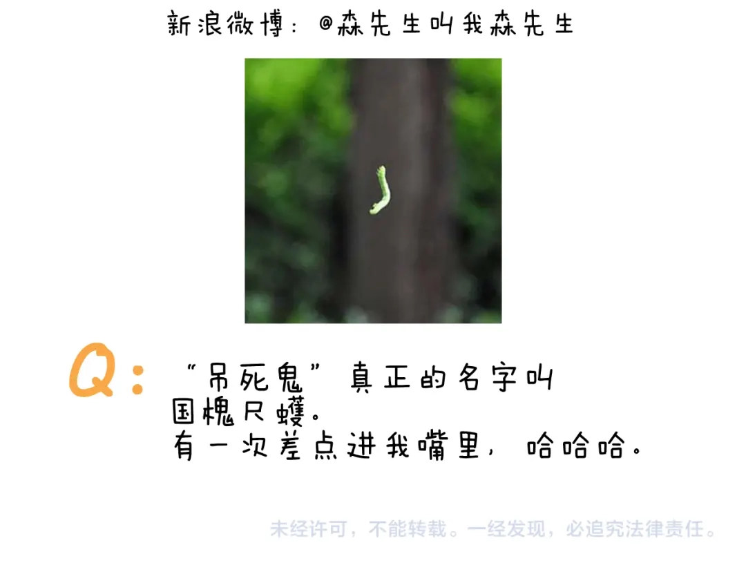叫我森先生 第399话 吸血虫 第52页