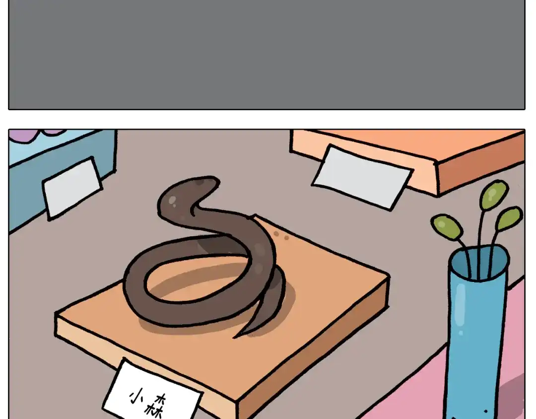 叫我森先生 第414话 骨骼的重要性 第29页