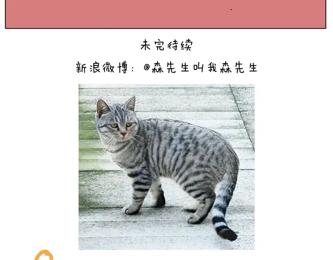 叫我森先生 第421话 与猫大战 第48页
