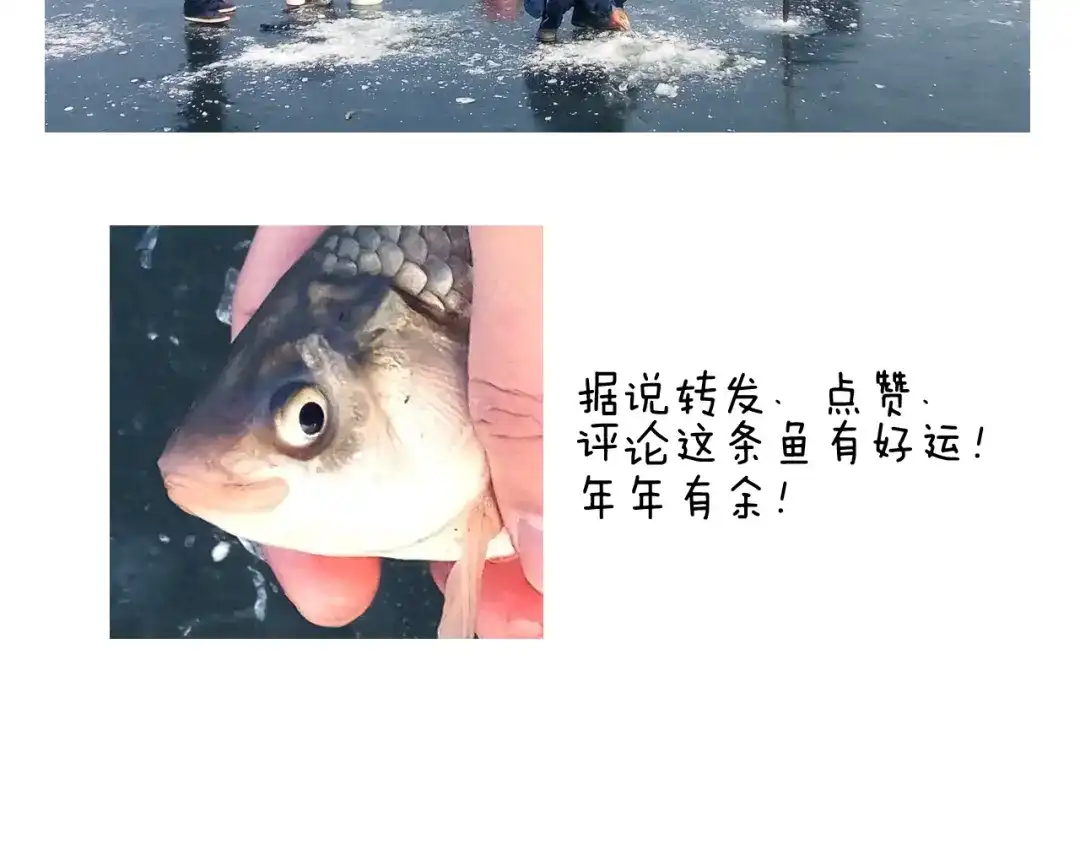 叫我森先生 北方冬天的钓鱼方式 第71页