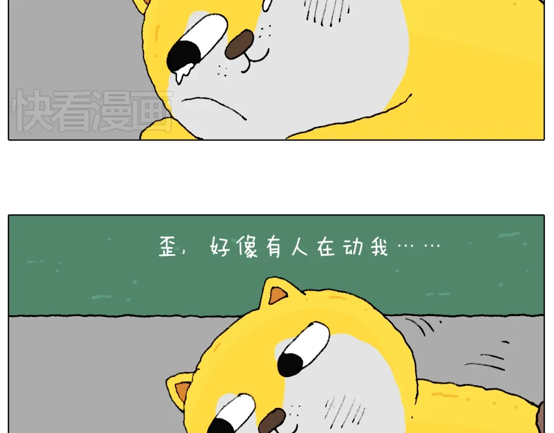 叫我森先生 空中滑索 第41页