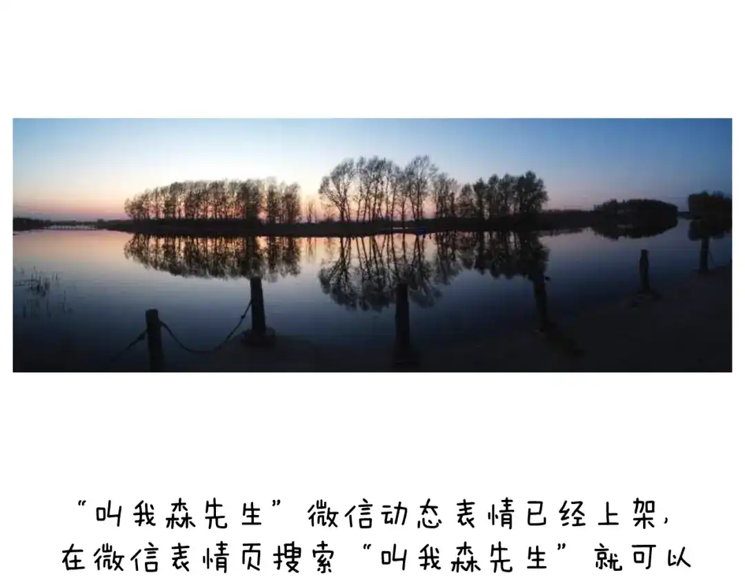 叫我森先生 深夜骑行 第86页