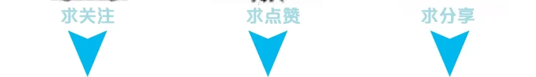 戏精特工与校花们 第24话 我的亲人只有哥哥一个 第74页