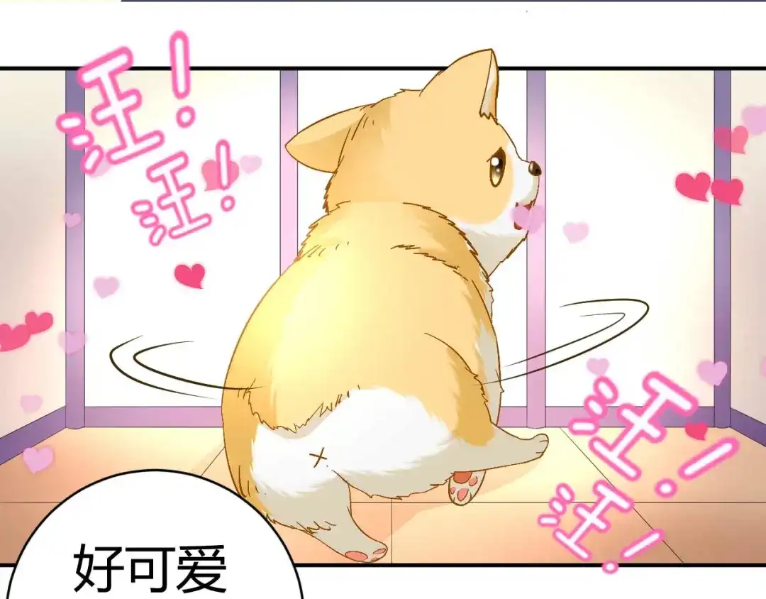 猎爱游戏：总裁情难自禁 第三十五话 第24页