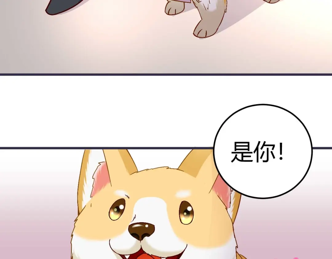 猎爱游戏：总裁情难自禁 第三十九话 第31页