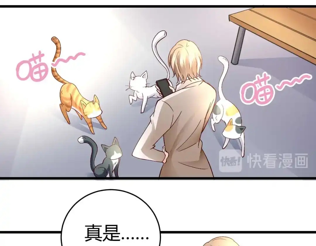 猎爱游戏：总裁情难自禁 第四十八话 第13页