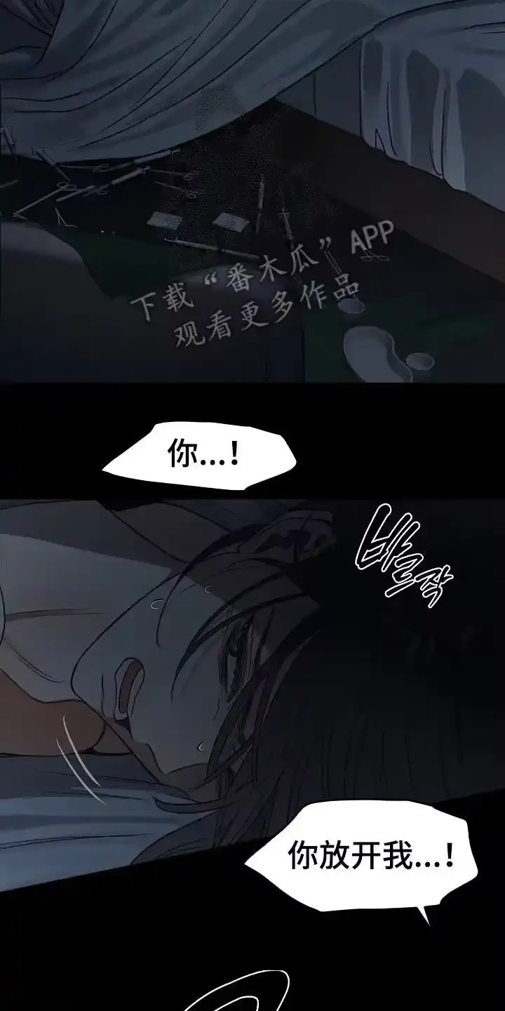 花是诱饵_h 第11章：醒来 第16页