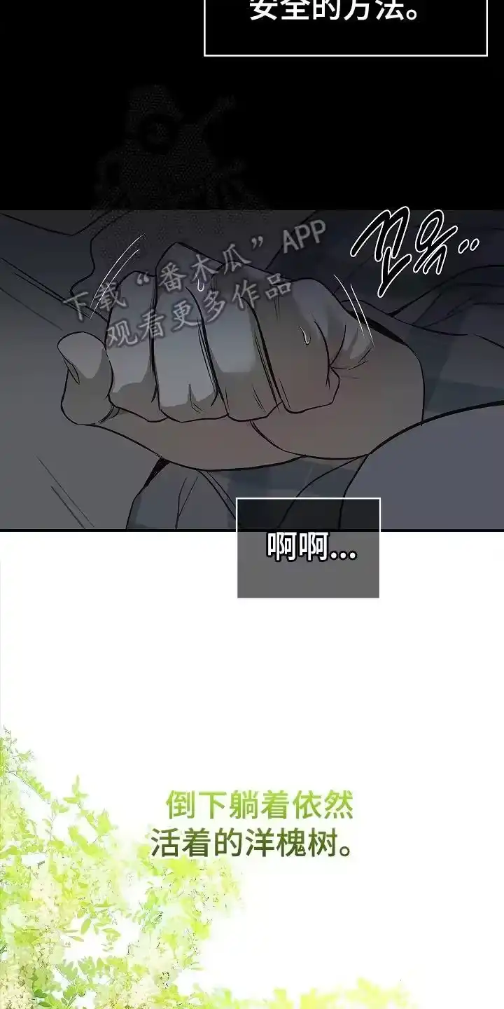 花是诱饵_h 第12章：谎言 第16页