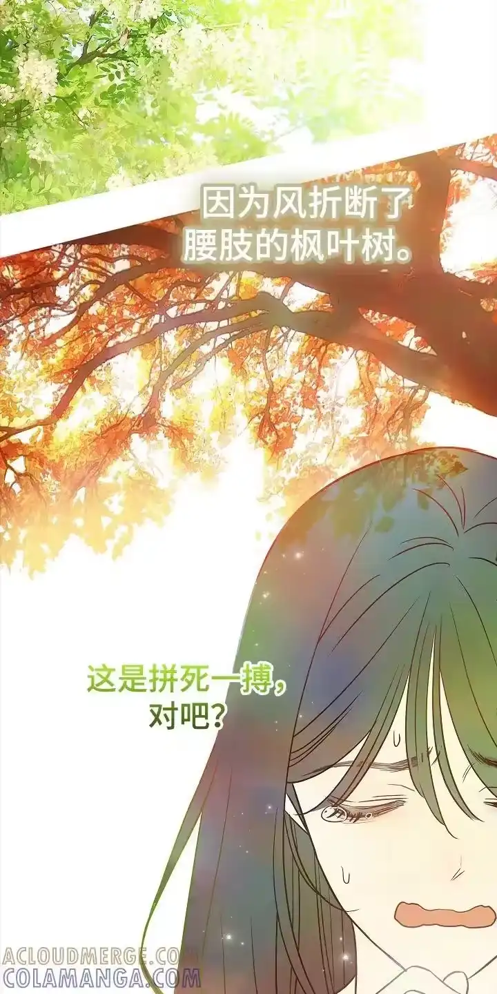 花是诱饵_h 第12章：谎言 第17页