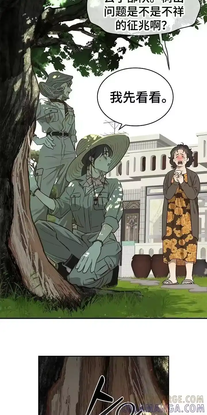 花是诱饵_h 第14章：致命的种子 第13页