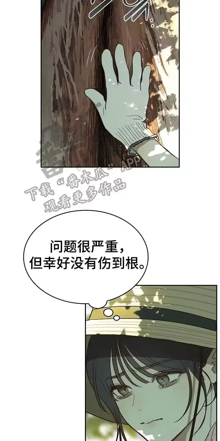 花是诱饵_h 第14章：致命的种子 第14页