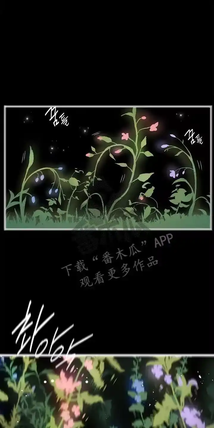 花是诱饵_h 第14章：致命的种子 第8页