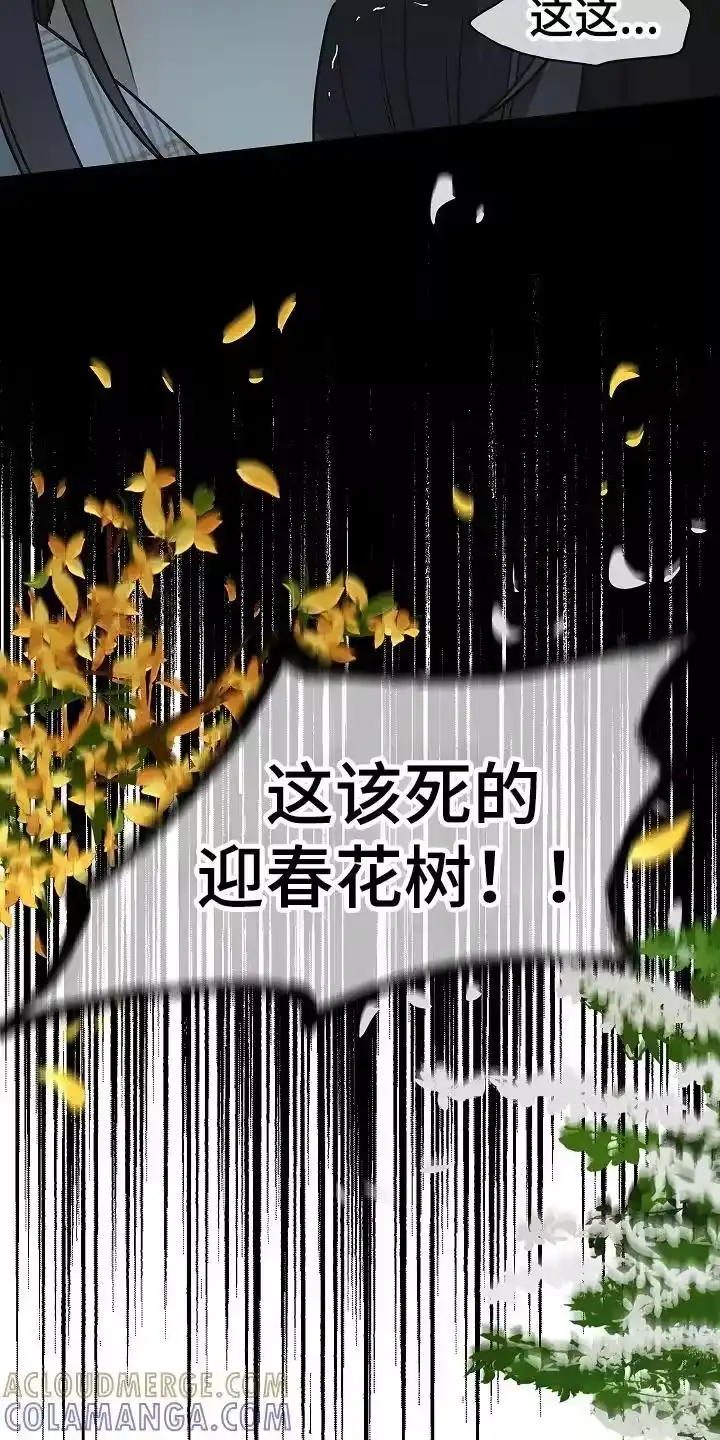 花是诱饵_h 第16章：操心的家伙 第11页