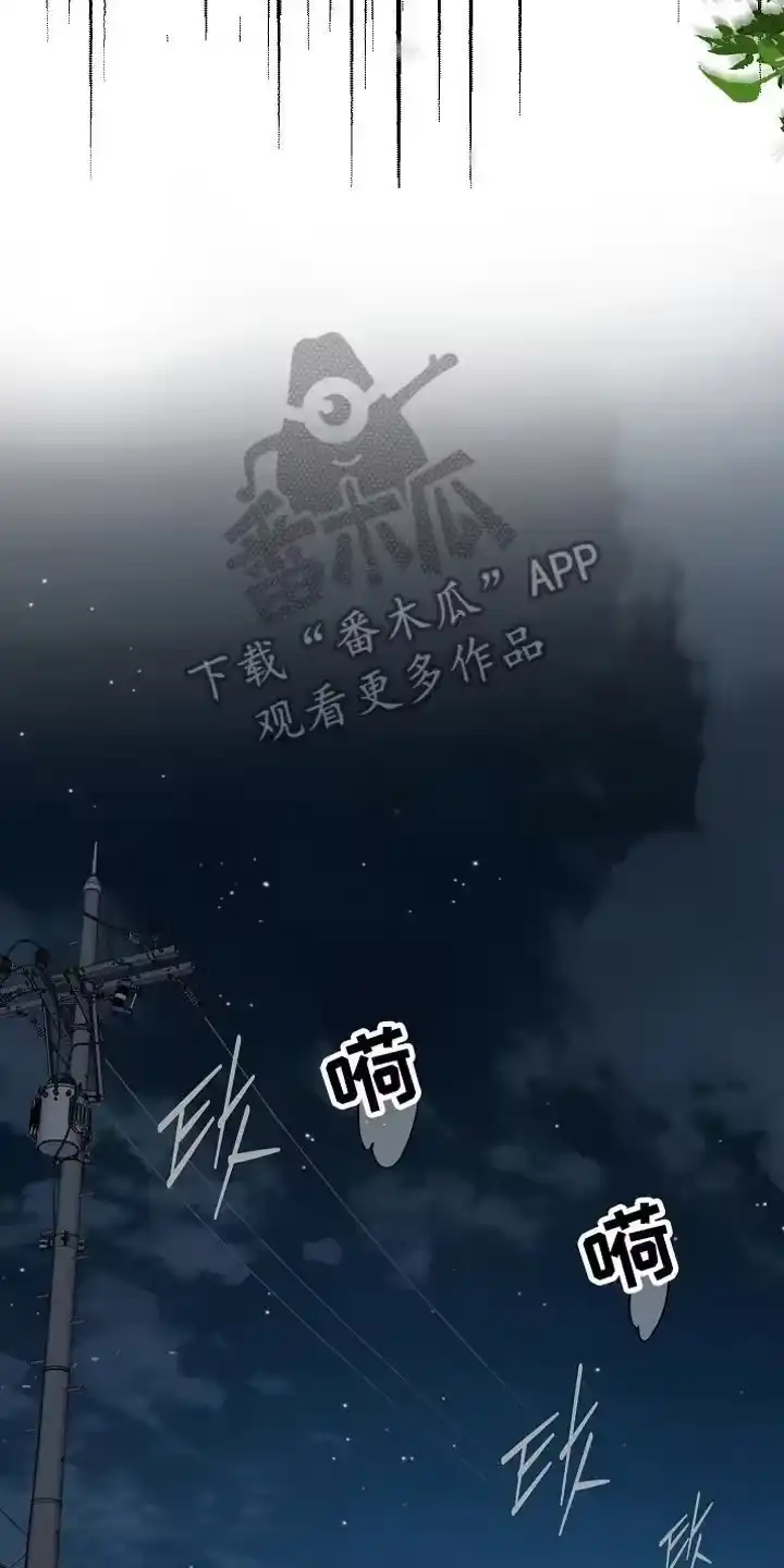 花是诱饵_h 第16章：操心的家伙 第12页