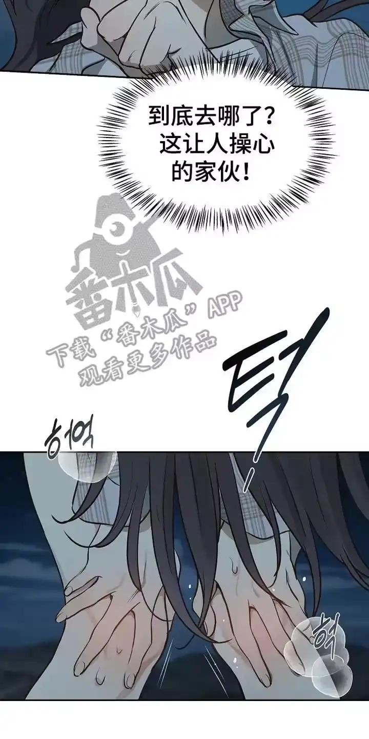 花是诱饵_h 第16章：操心的家伙 第14页