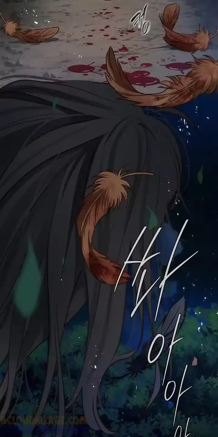 花是诱饵_h 第16章：操心的家伙 第21页