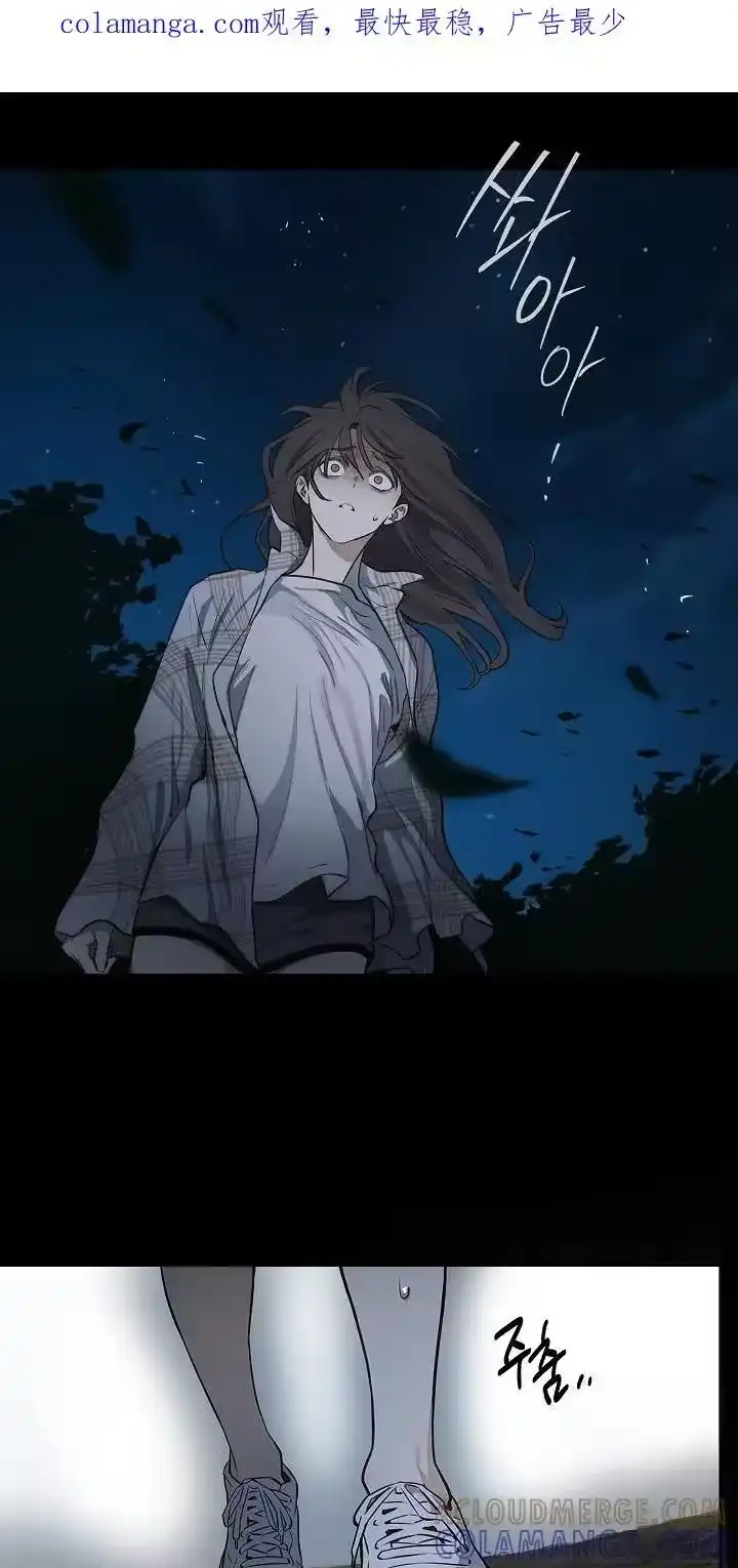 花是诱饵_h 第17章：梦 第1页