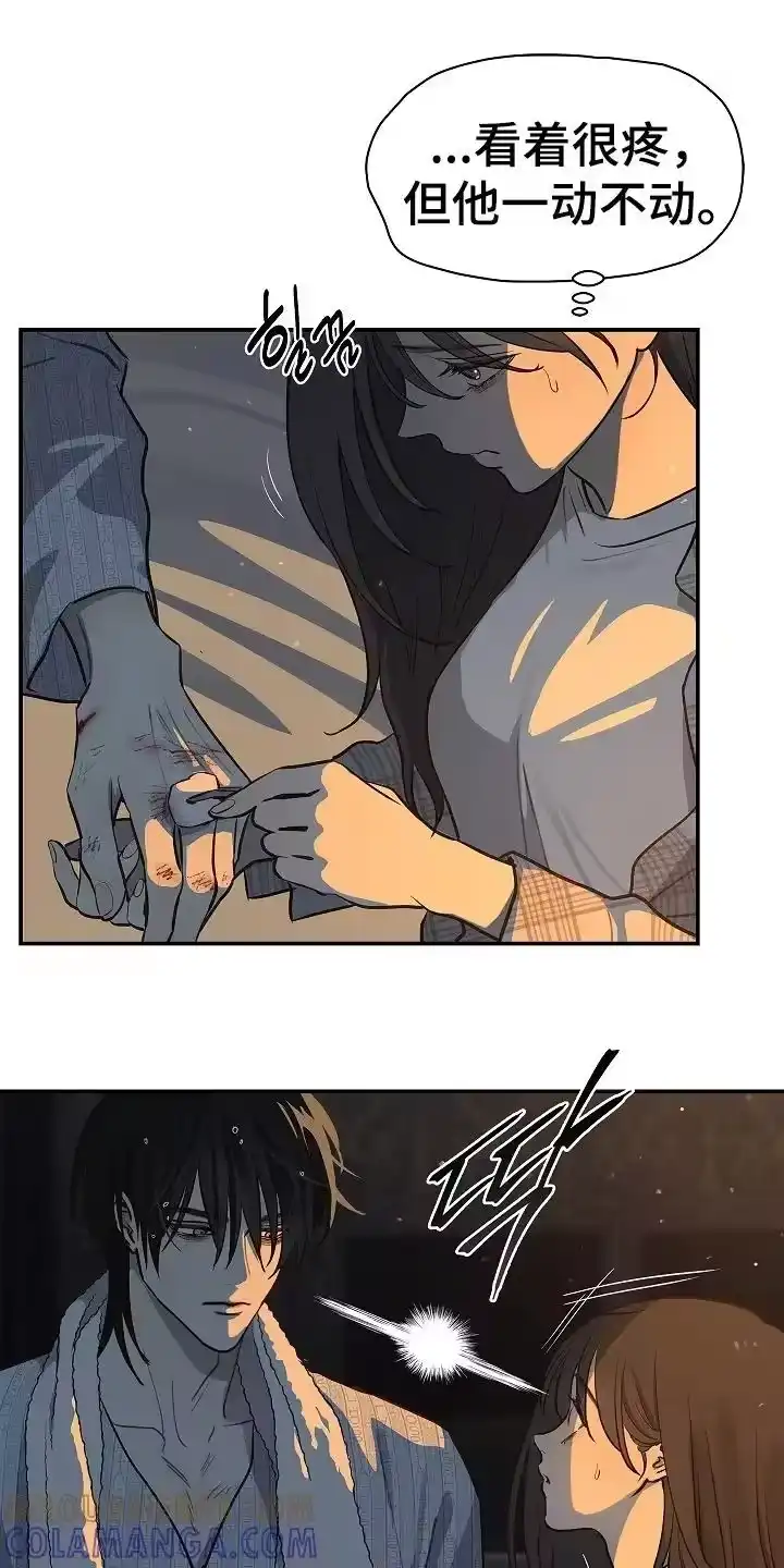 花是诱饵_h 第19章：到家 第19页