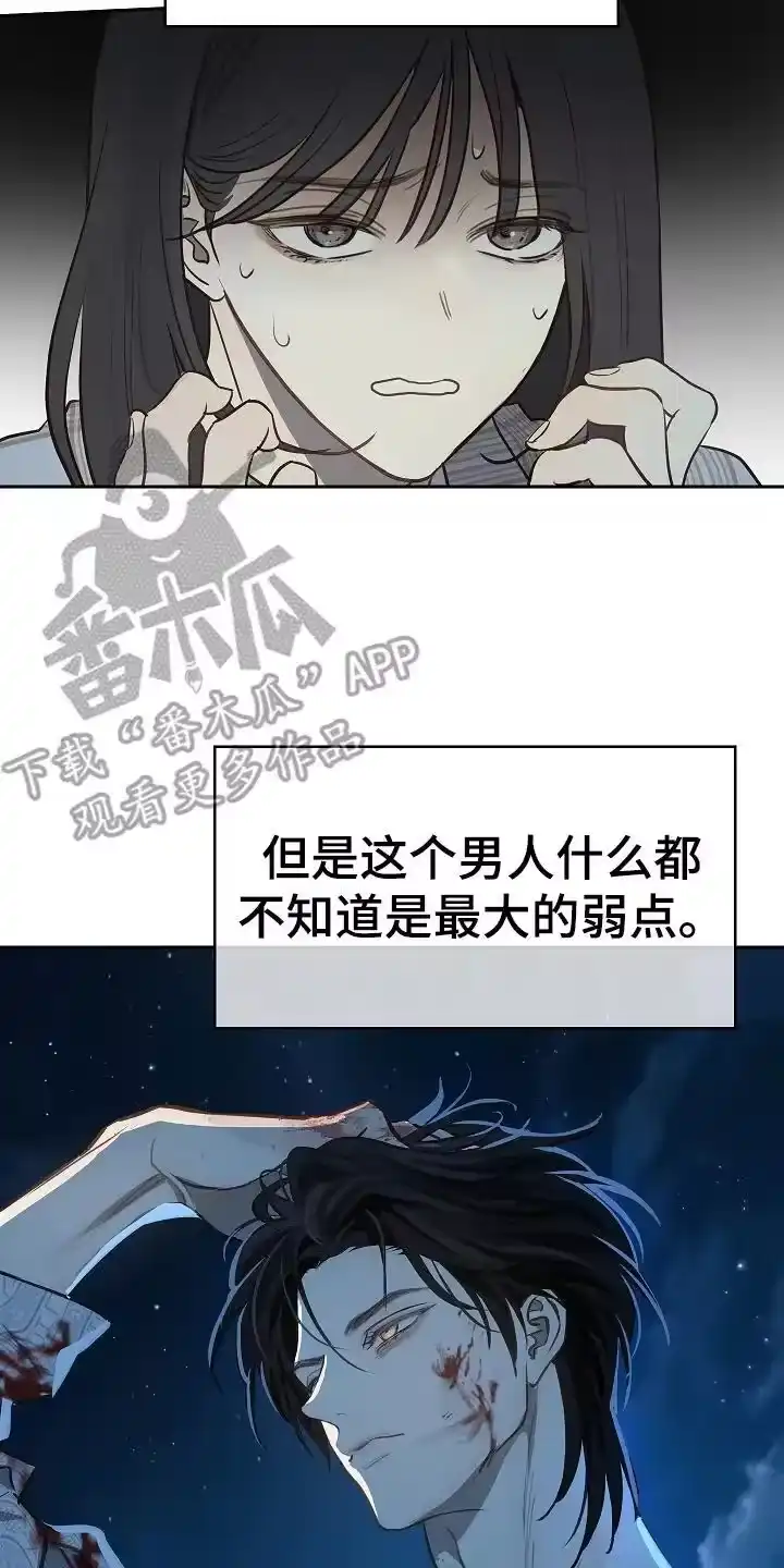 花是诱饵_h 第19章：到家 第4页