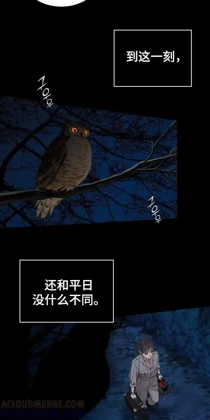 花是诱饵_h 第1章：命案现场 第13页
