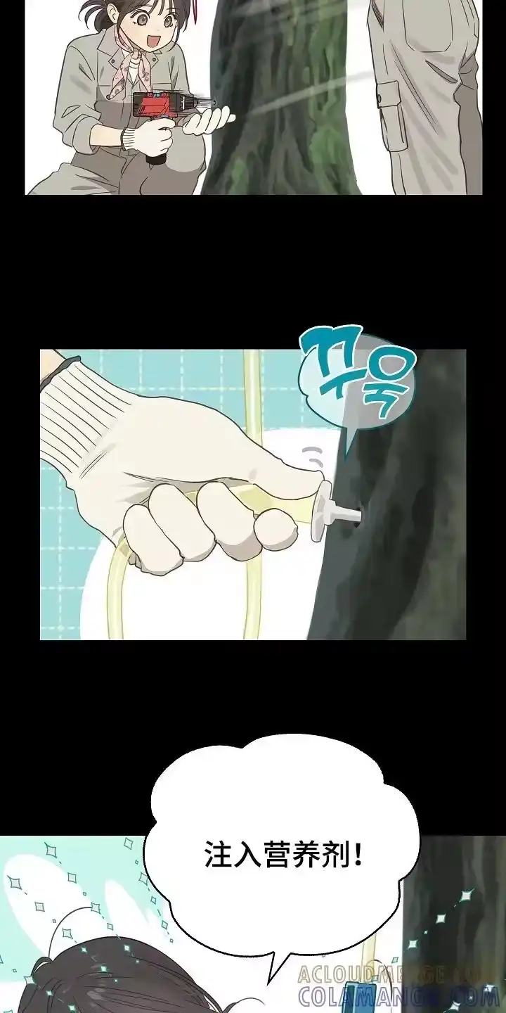 花是诱饵_h 第1章：命案现场 第9页