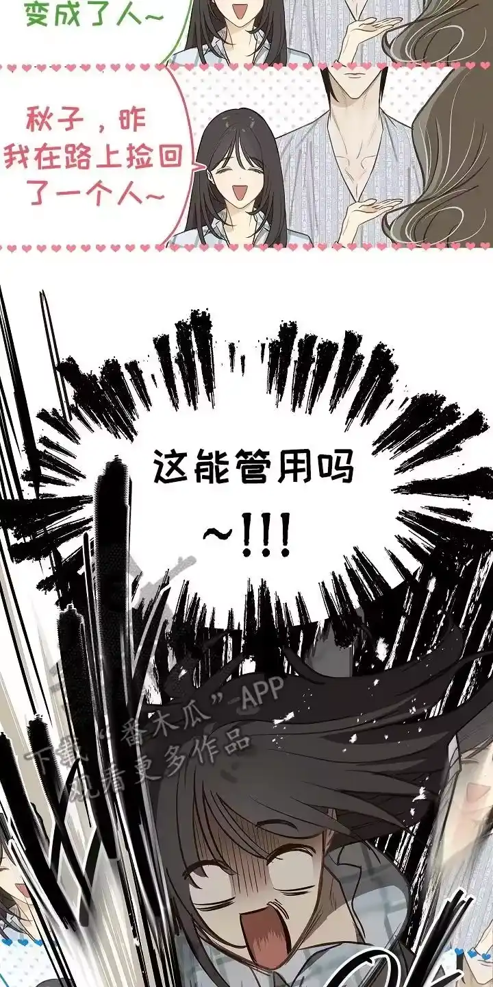 花是诱饵_h 第24章：述说 第4页