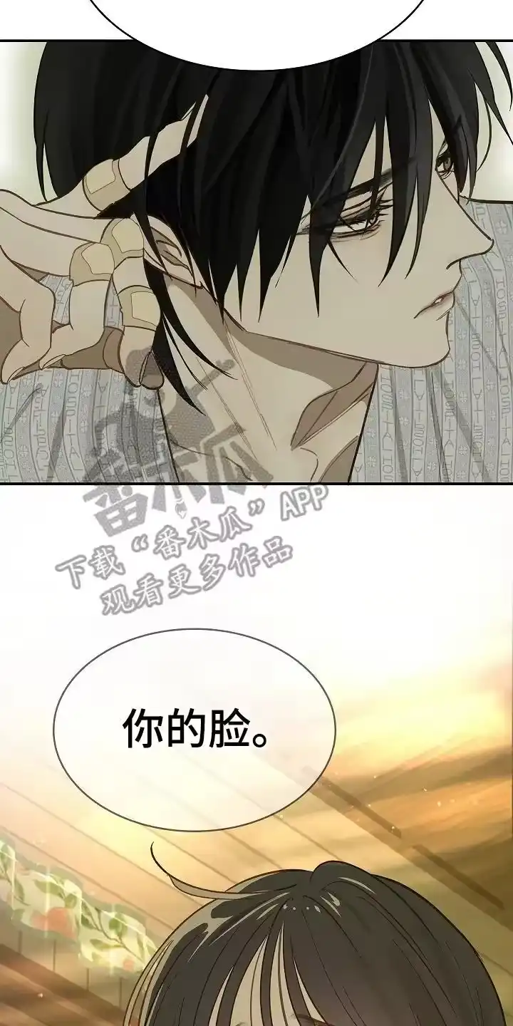 花是诱饵_h 第26章：不简单 第2页