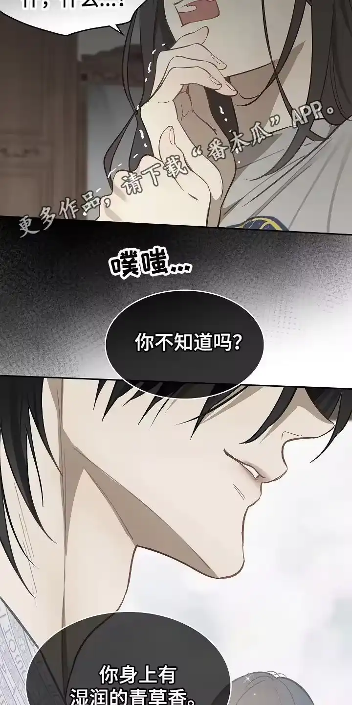 花是诱饵_h 第28章：束缚着 第4页