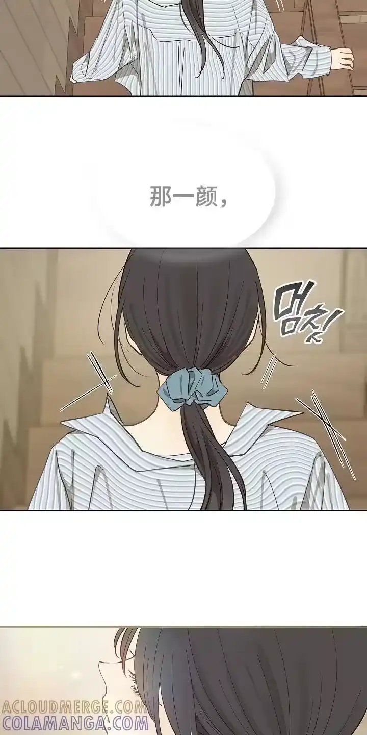 花是诱饵_h 第29章：噩梦 第19页