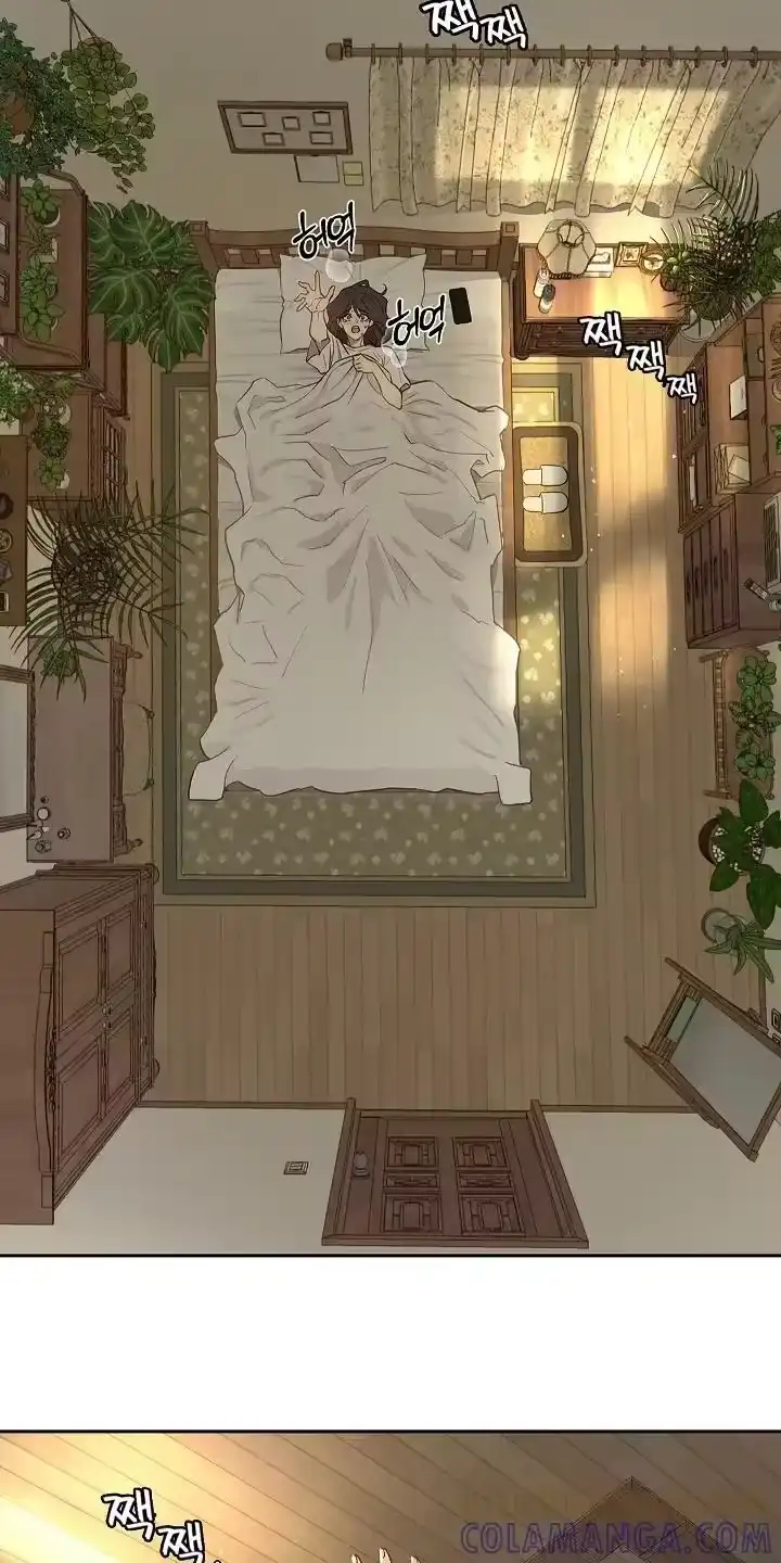 花是诱饵_h 第30章：是那天 第11页